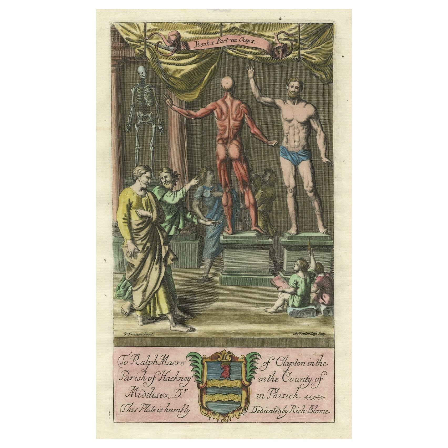 Antiker antiker Druck einer Anatomie-Ausstellung mit einem menschlichen Skelett, 1686