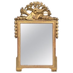 19th Century French Neo-Classical Style Carved Giltwood Mirror