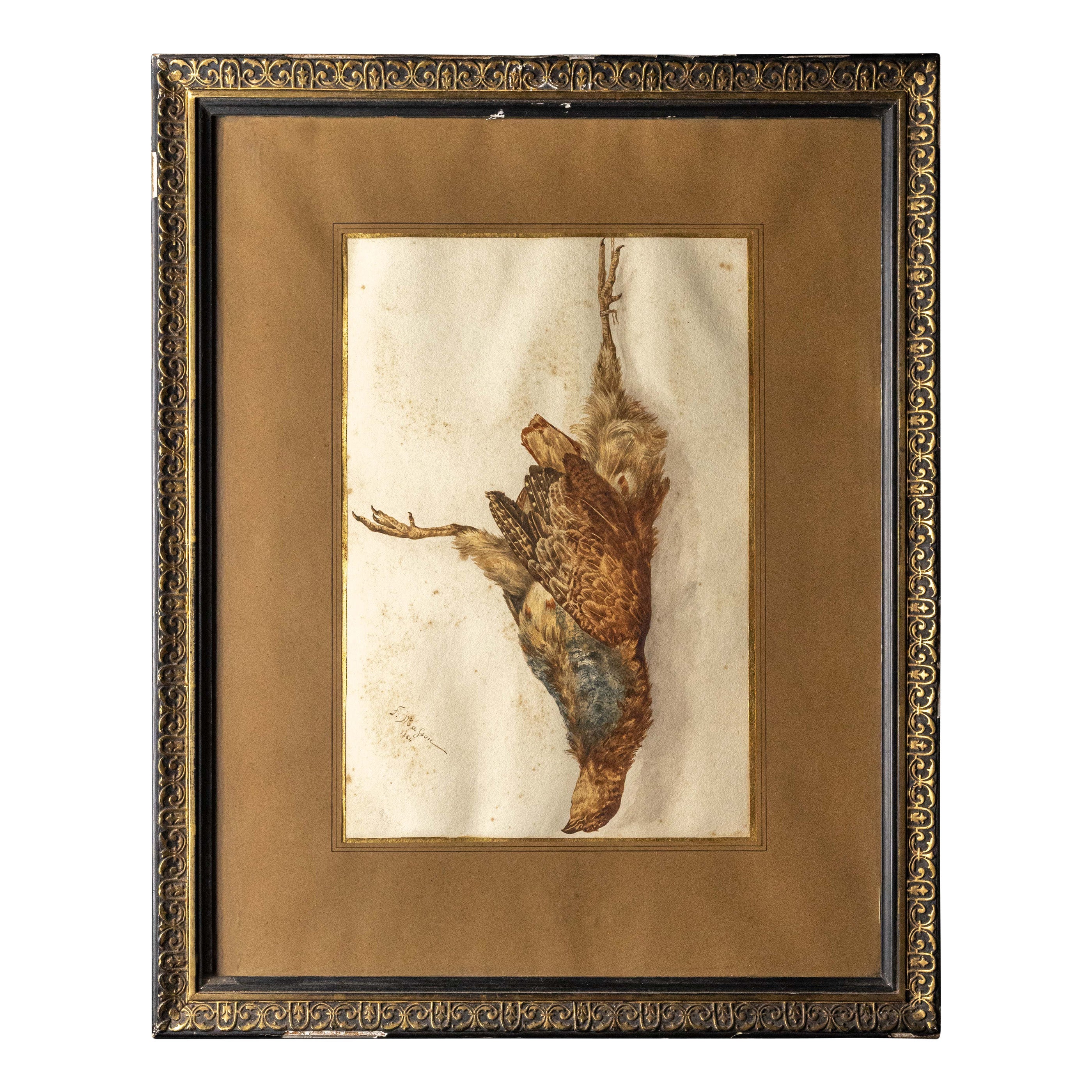 Framed 19th C Gouache of a Bird Signed Frederic Masson