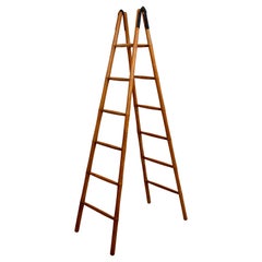 French Folding Library Ladder