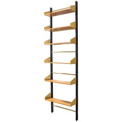 20th Century Bookcase Feal with Adjustable Shelves in Wood Structure in Metal