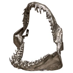 Mako Shark Jaw Made of Cast Chrome-Plated Metal