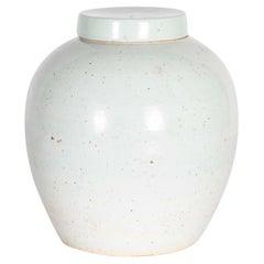 Pale Celadon Crackle Glaze Vase with CAP
