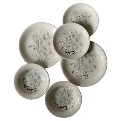 Set di stoviglie Wedgwood Wild Oats in porcellana d'osso, 6 pezzi