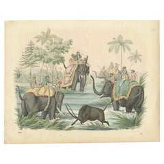 Antique Hand-Colored Print of a Bison Hunt on Elephants, 1855