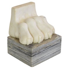 Large 18th Century Italian Marble Claw