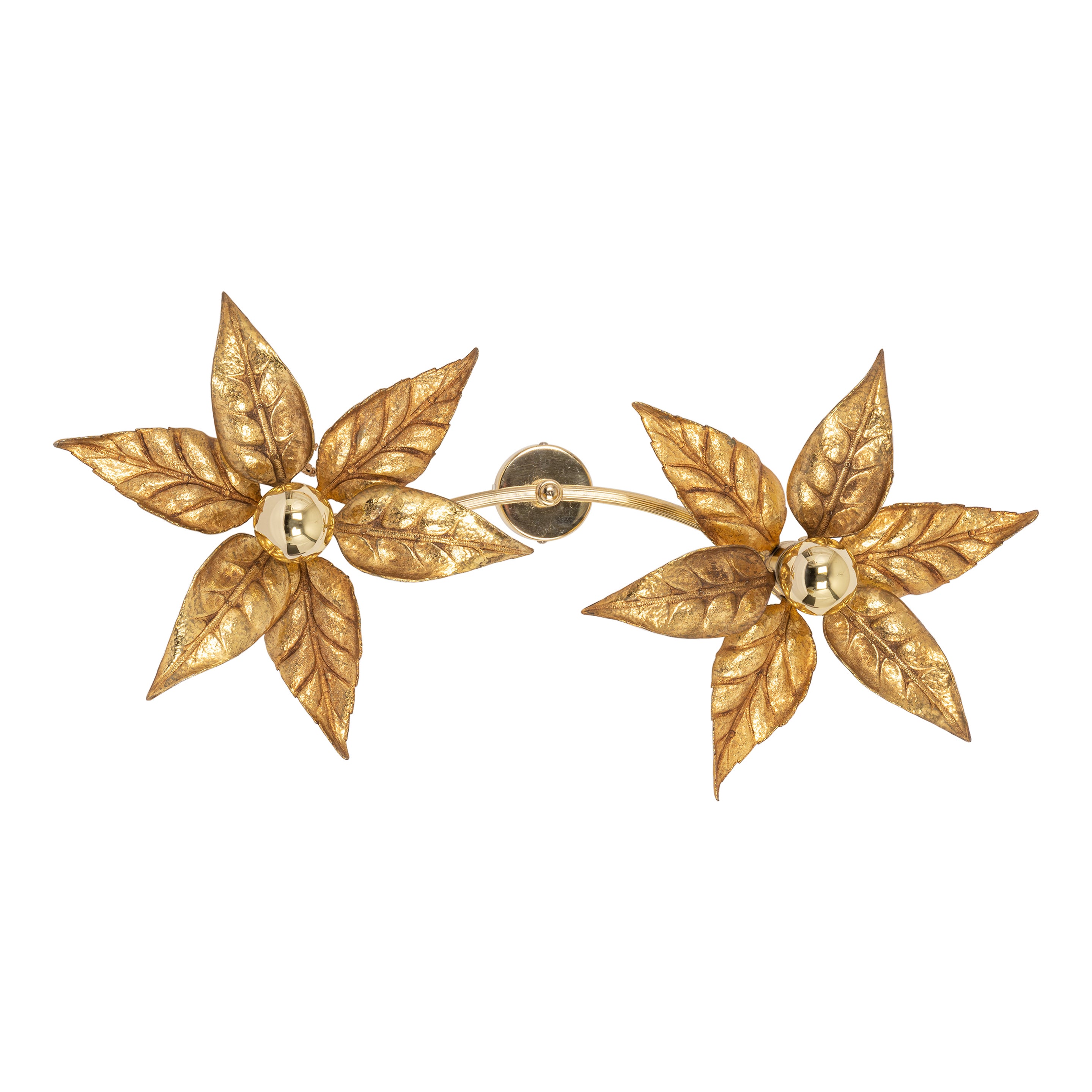 Large Willy Daro Style Brass Double Flower Wall Lights, 1970s