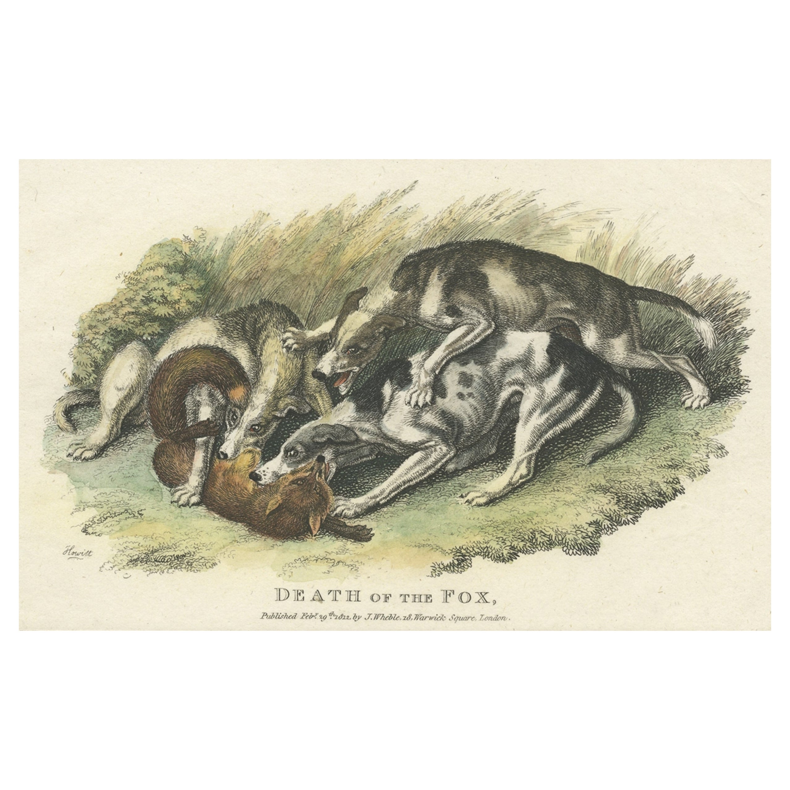 Impression ancienne colorée à la main représentant des chiens de chasse attaqueant un renard, 1812 en vente