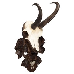 Retro Black Forest Chamois Antlers Hunting Trophy Mount, 1969