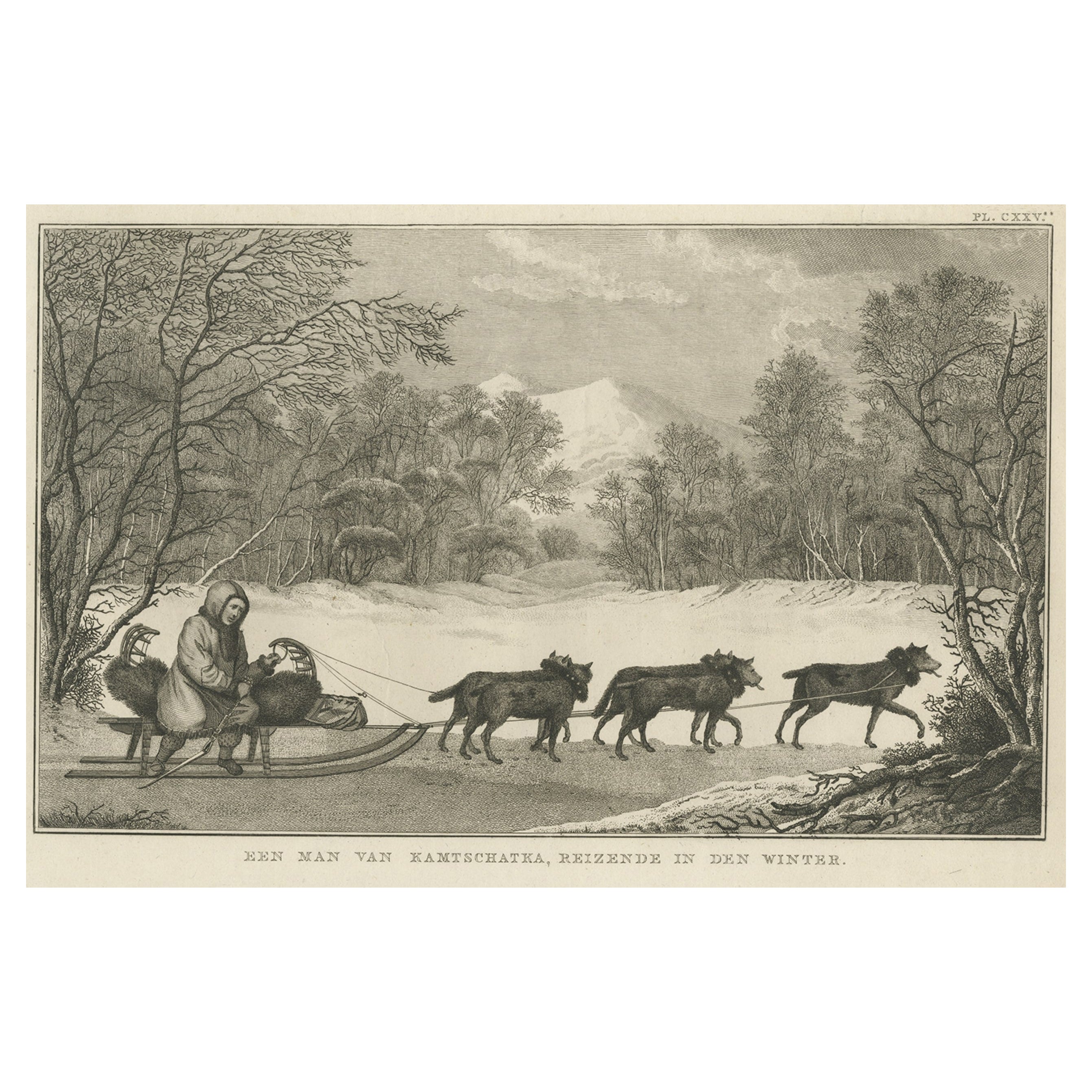 Antique Print Depicting a Native of Kamchatka, Russia Dog Sledding, 1803