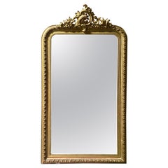 19th Century French Hand Carved Giltwood Mirror in Louis XV Style