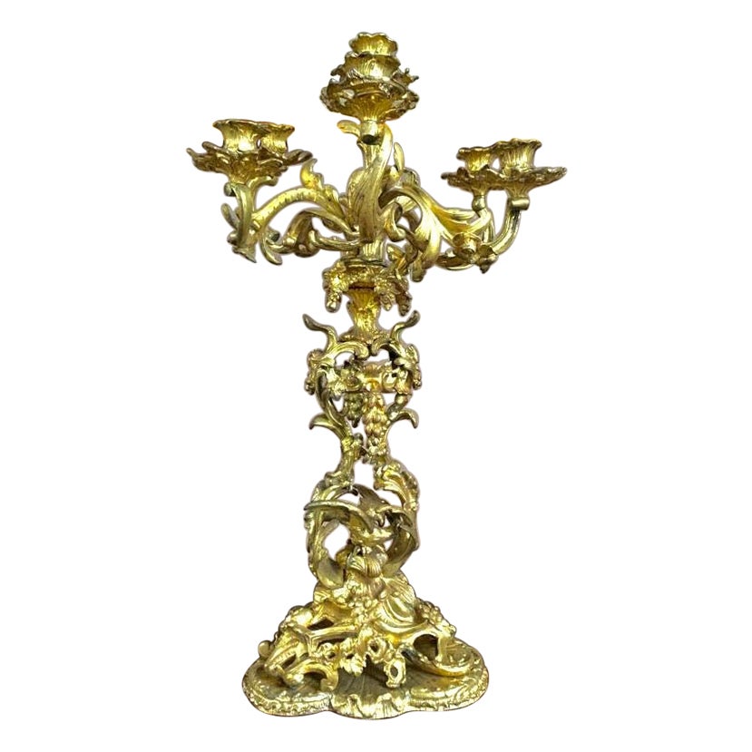 Louis XV Style Candelabra in Guilt Bronze 19th Century For Sale