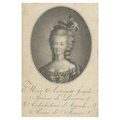 Portrait of Marie Antoinette Last Queen of France before French Revolution, 1797