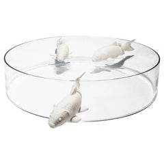 Trois poissons blancs dans une coupe en verre céramique