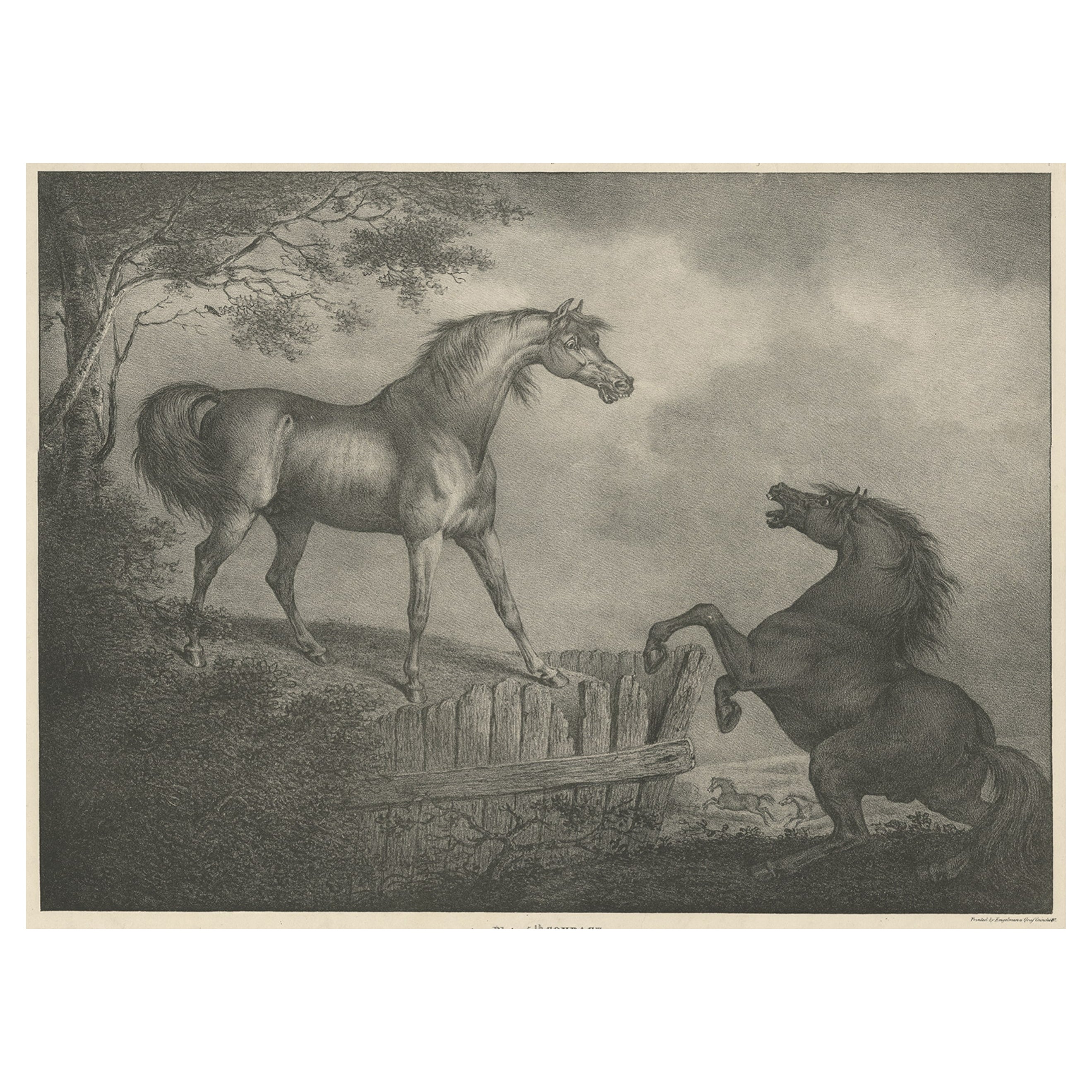 Original antike Originallithographie eines Pferdes, das die Passion zeigt, „Courage“, 1827