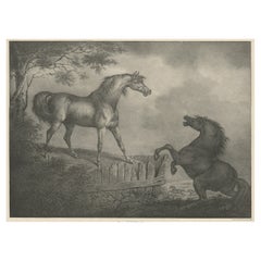 Original Antique Lithograph of a Horse Showing the Passion 'Courage', 1827