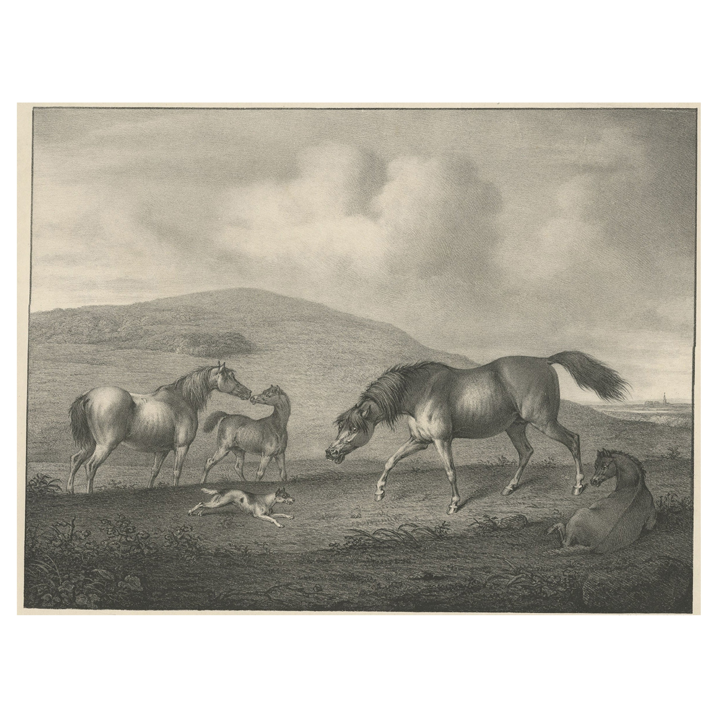 Lithographie ancienne d'origine d'un cheval montrant sa passion « Affection », 1827