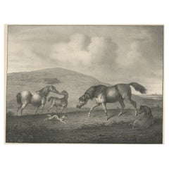 Original Antique Lithograph of a Horse Showing the Passion 'Affection', 1827