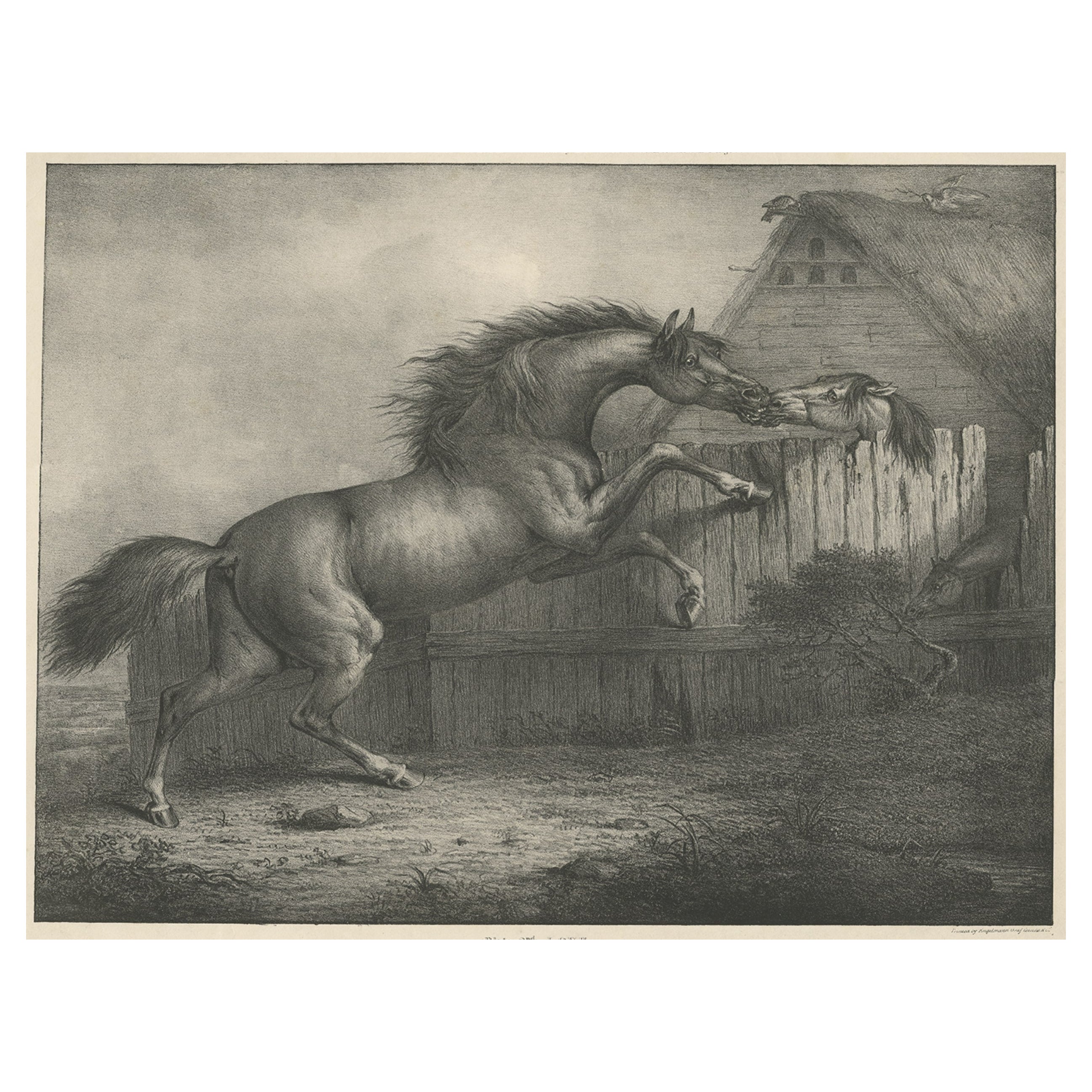 Lithographie ancienne originale d'un cheval montrant la passion de « l'amour », 1827