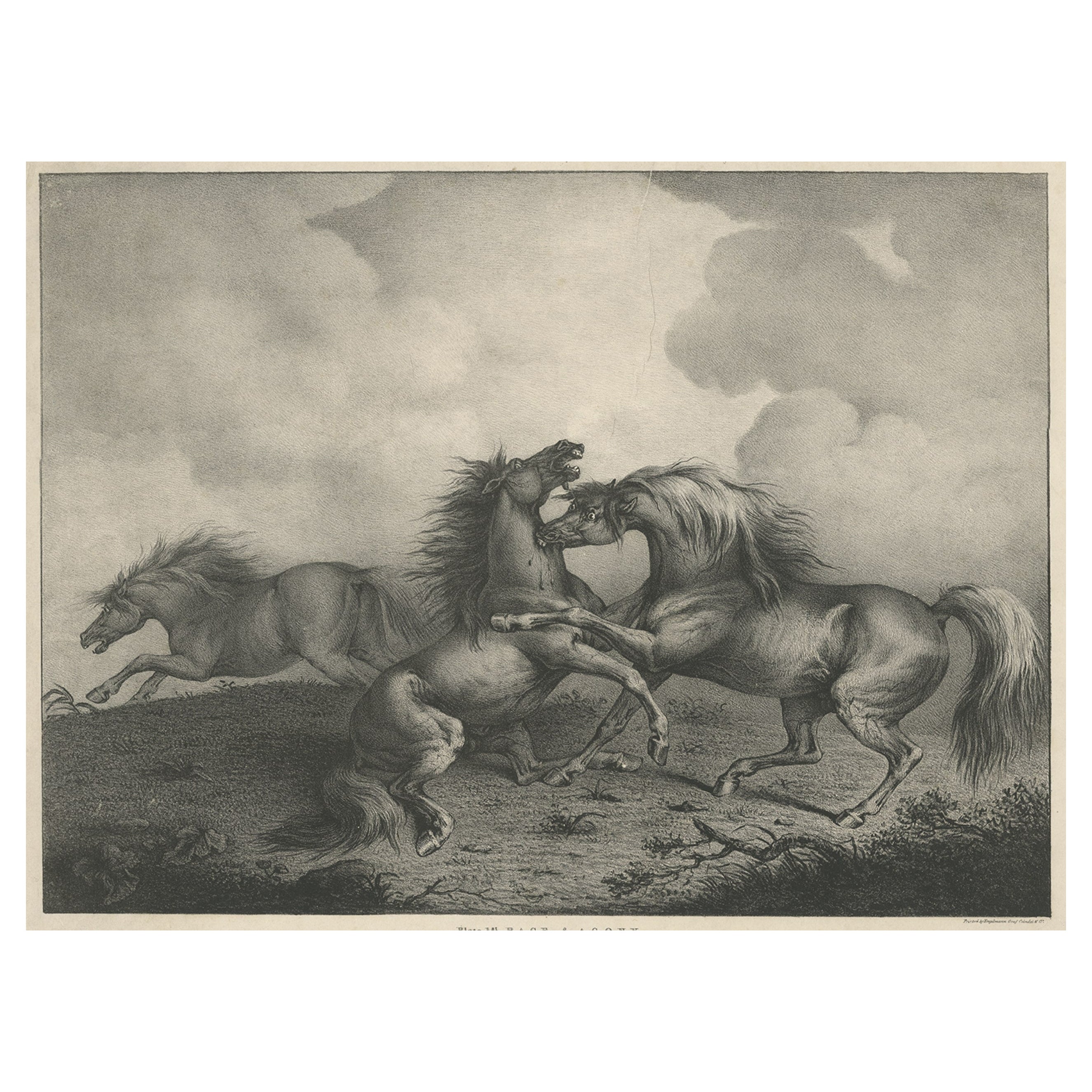Lithographie ancienne originale d'un cheval montrant sa passion "Rage & Agony", 1827