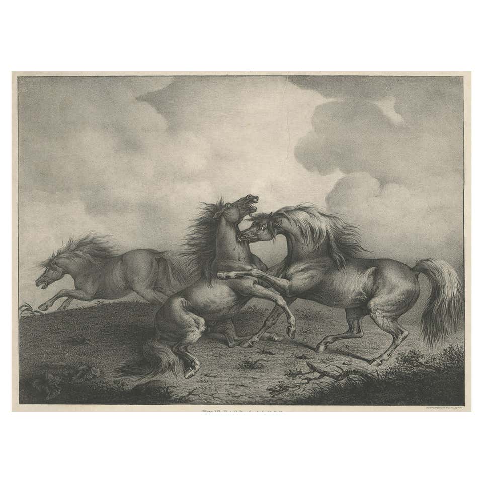 Robert Riggs Original Lithograph, Boxing Subject “Trial Horse” For Sale ...