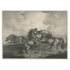 Original Antique Lithograph of a Horse Showing the Passion 'Rage & Agony', 1827