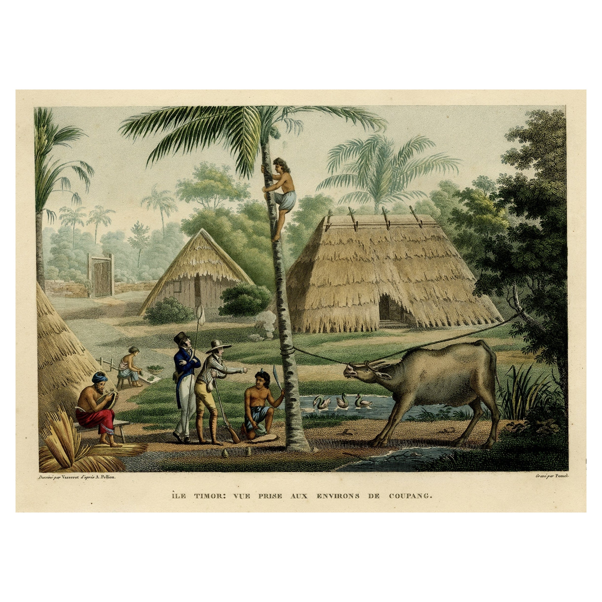 Old Print of French Travellers Visiting a Village in Kupang, Timor, 1825 For Sale