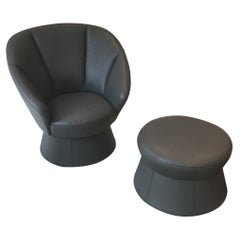 DS-163 Dark Grey Leather Swiveling Lounge Chair & Ottoman by de Sede