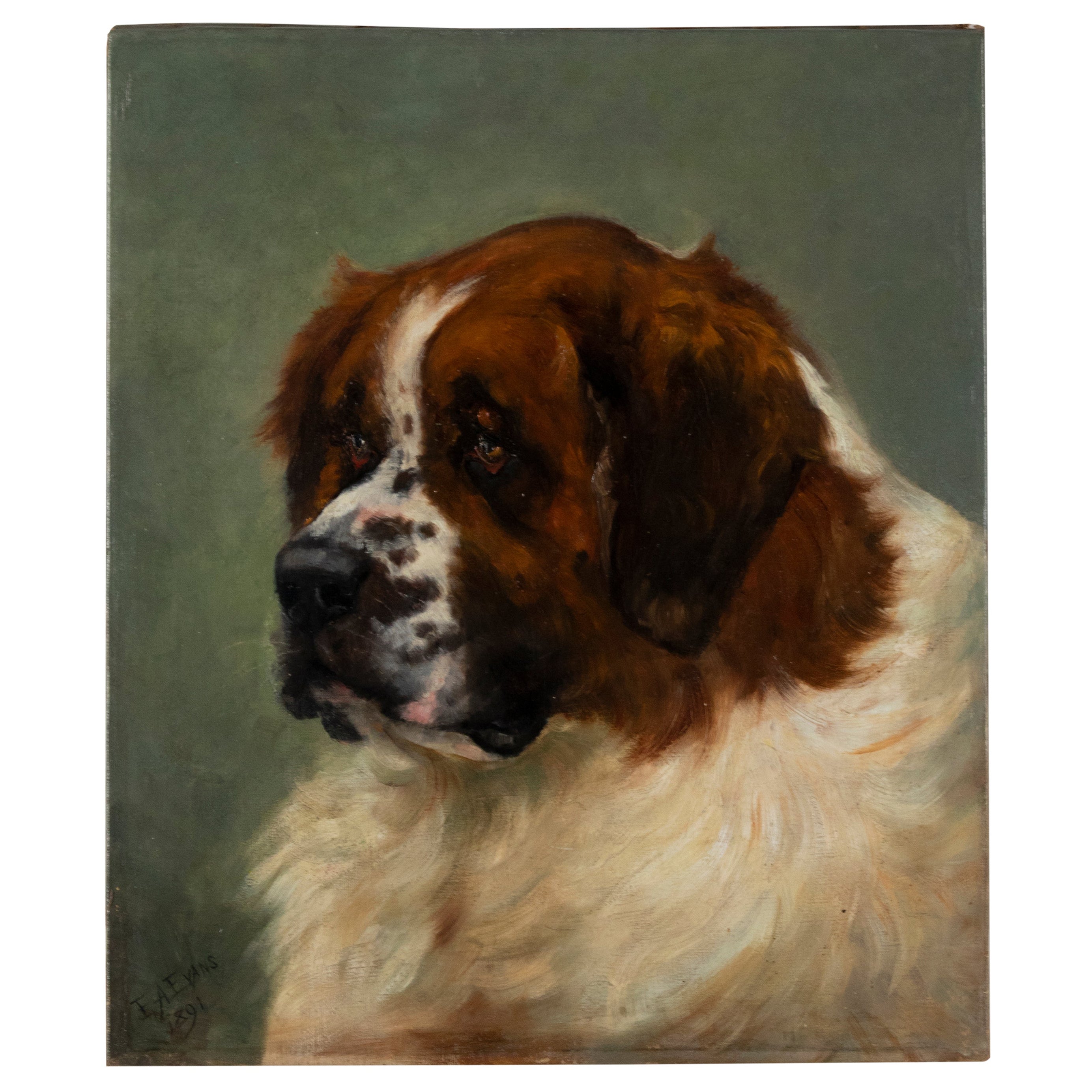 19th Century Oil Painting Saint Bernard Dog, Emma Andalizia EVANS
