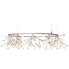 Moooi Heracleum The Big O Small Suspension Lamp in Copper by Bertjan Pot