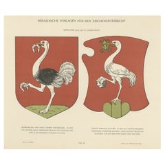 Antique Coat of Arms Print of Leoben, Steiermark, Austria & Count Rambaldi, Italy, 1910