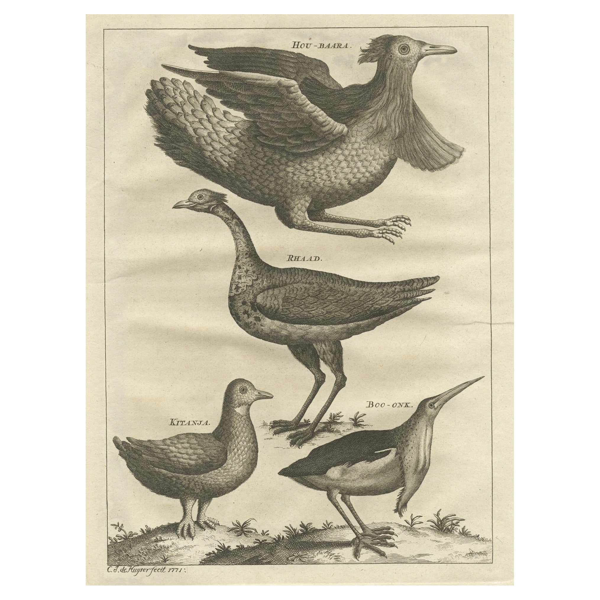 Rare Antique Bird Print of a Houbara, the Arabian Bustard and More, 1773 For Sale