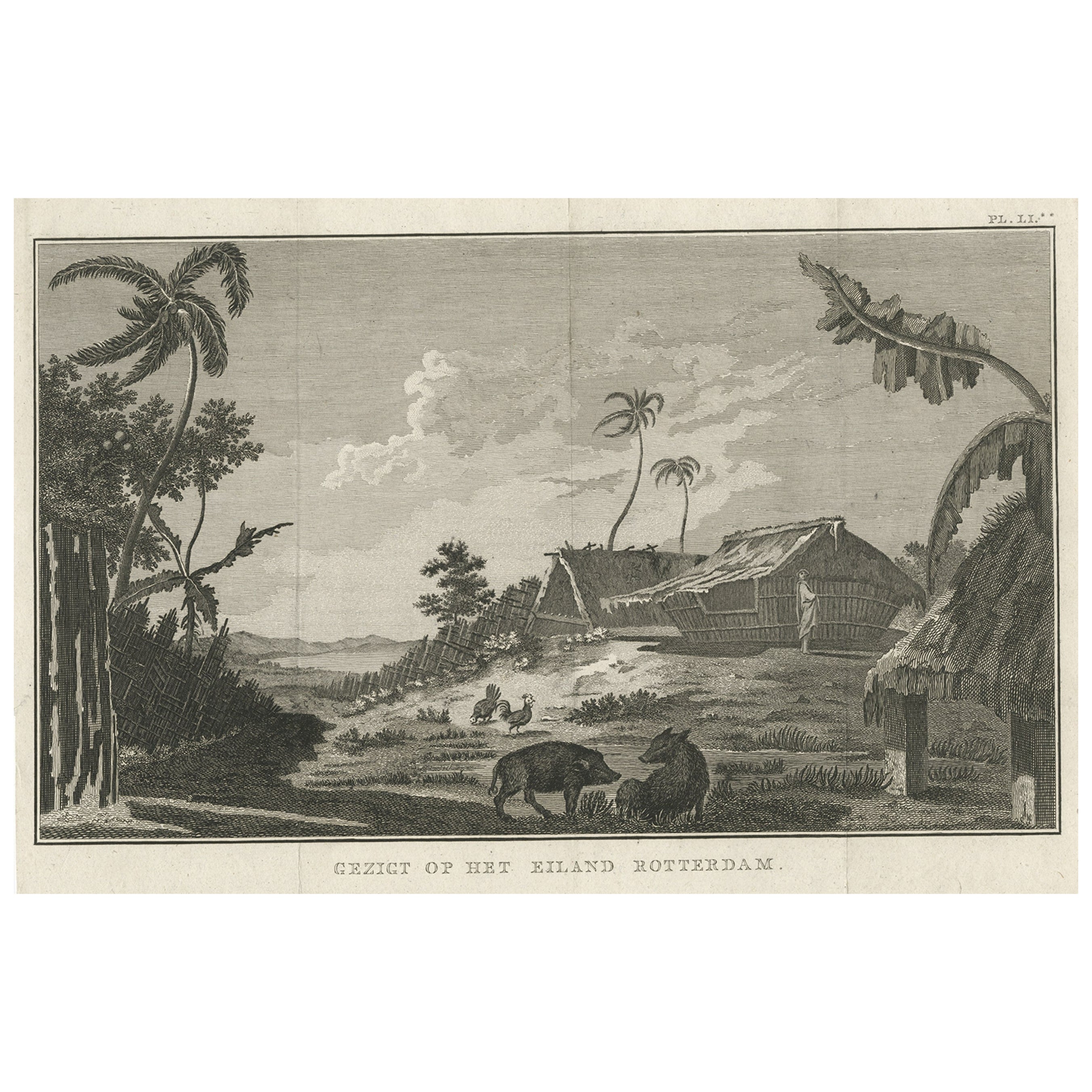 Gravure originale de l'île de Rotterdam, aujourd'hui Nomuka, Royaume de Tonga, vers 1800