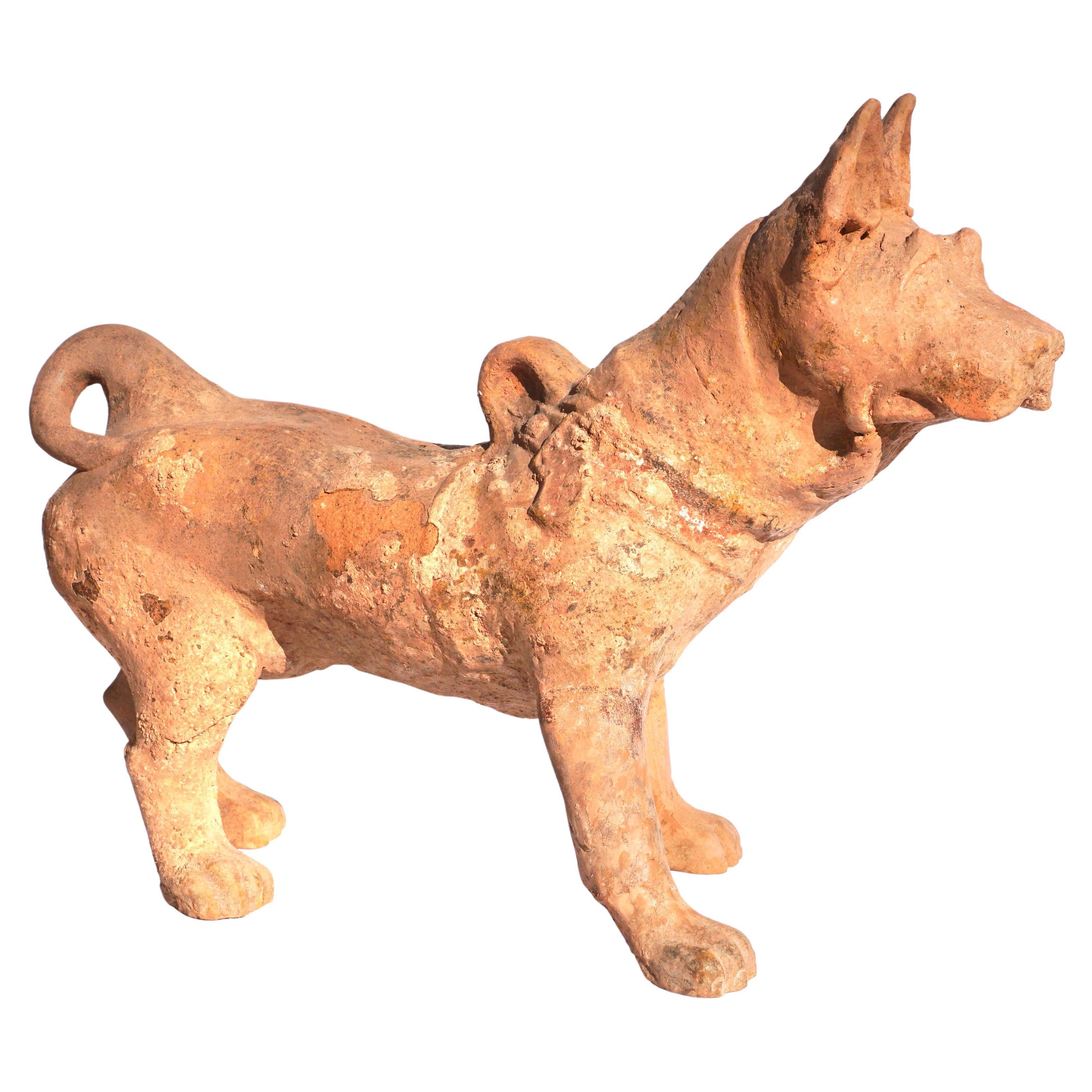 Grande sculpture en poterie de la Dynasty Han représentant un chien en vente