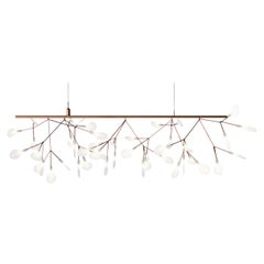 Moooi Heracleum Endless Suspension Lamp in Copper with Polycarbonate Lenses
