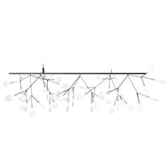 Moooi Heracleum Endless Suspension Lamp in Nickel with Polycarbonate Lenses