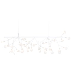 Moooi Heracleum Endless Suspension Lamp in White with Polycarbonate Lenses