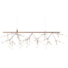 Moooi Heracleum Endless Suspension Lamp in Copper with Polycarbonate Lenses, 10m