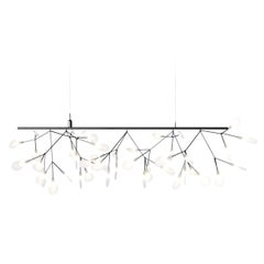 Moooi Heracleum Endless Suspension Lamp in Nickel with Polycarbonate Lenses, 10m