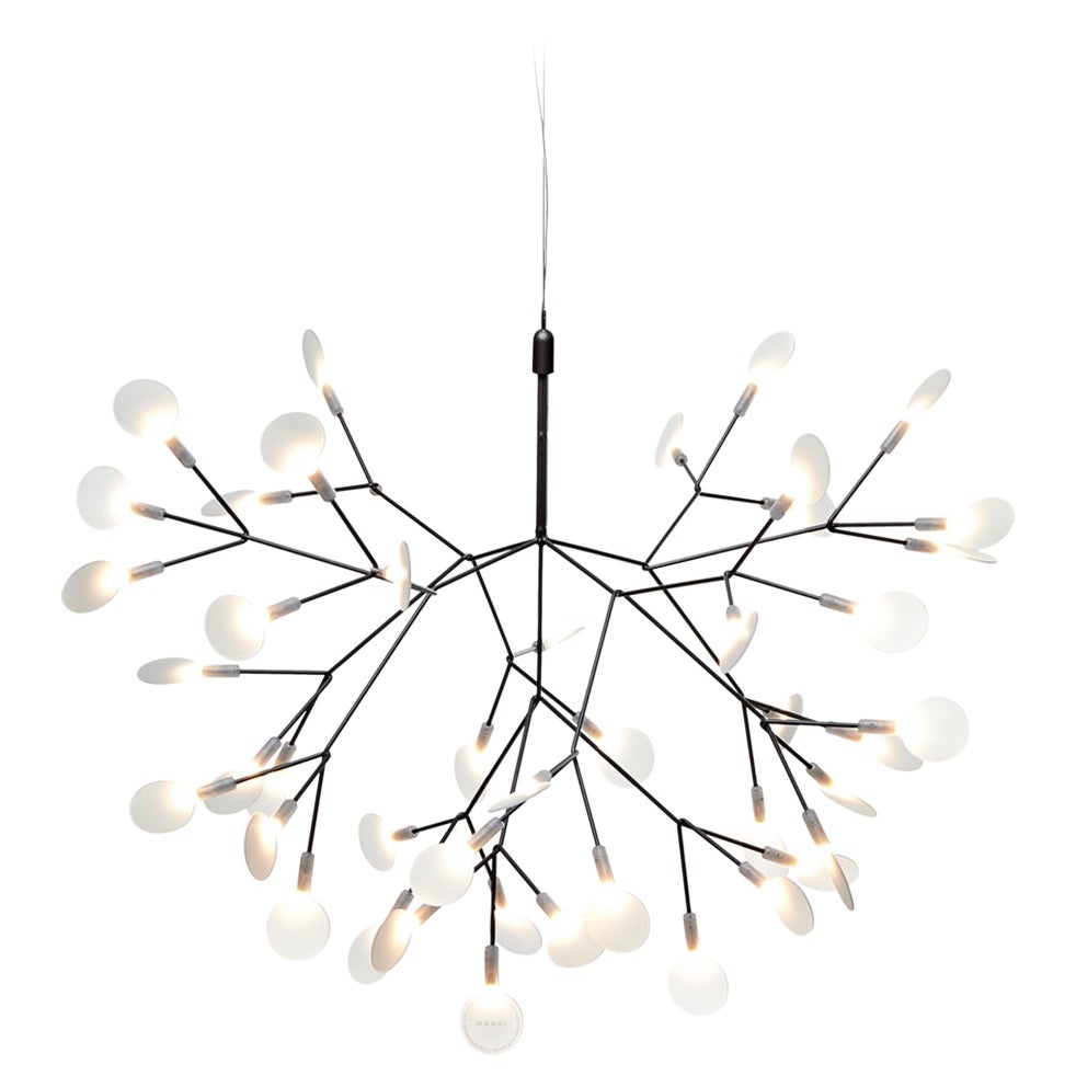 Moooi Heracleum II 72D Suspension Lamp in Nickel with Polycarbonate Lenses For Sale