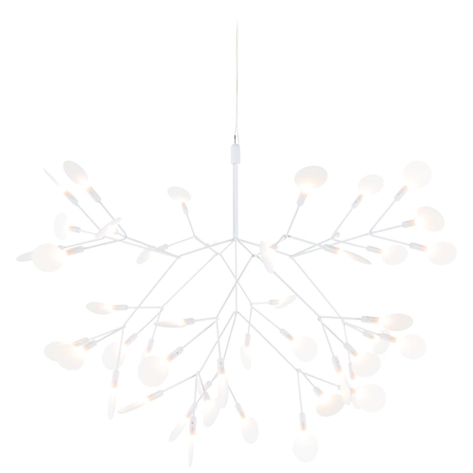 Moooi Heracleum II 72D Suspension Lamp in White with Polycarbonate Lenses