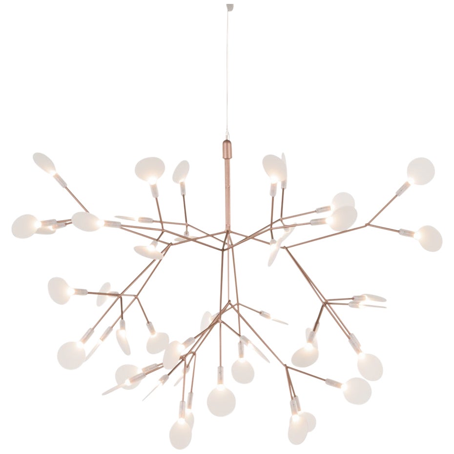 Moooi Heracleum II 72D Suspension Lamp in Copper with Polycarbonate Lenses, 10m