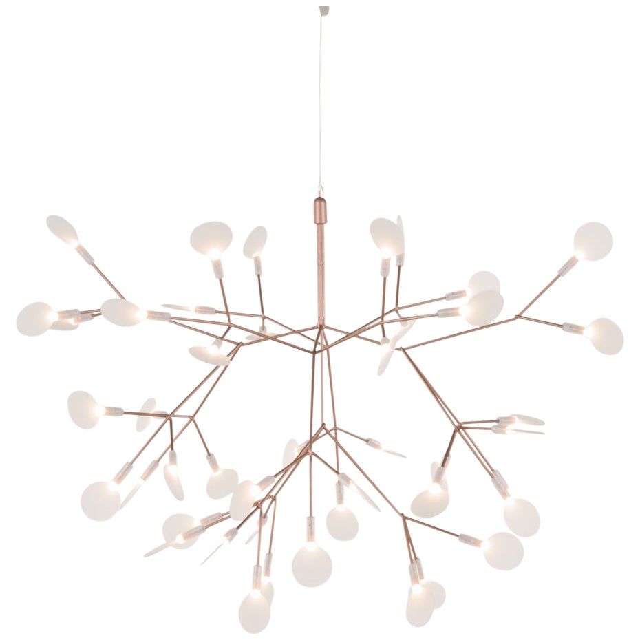 Moooi Heracleum II 72D Lampada a sospensione in rame con lenti in policarbonato, 10m