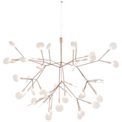 Moooi Heracleum II 72D Suspension Lamp in Copper with Polycarbonate Lenses, 10m