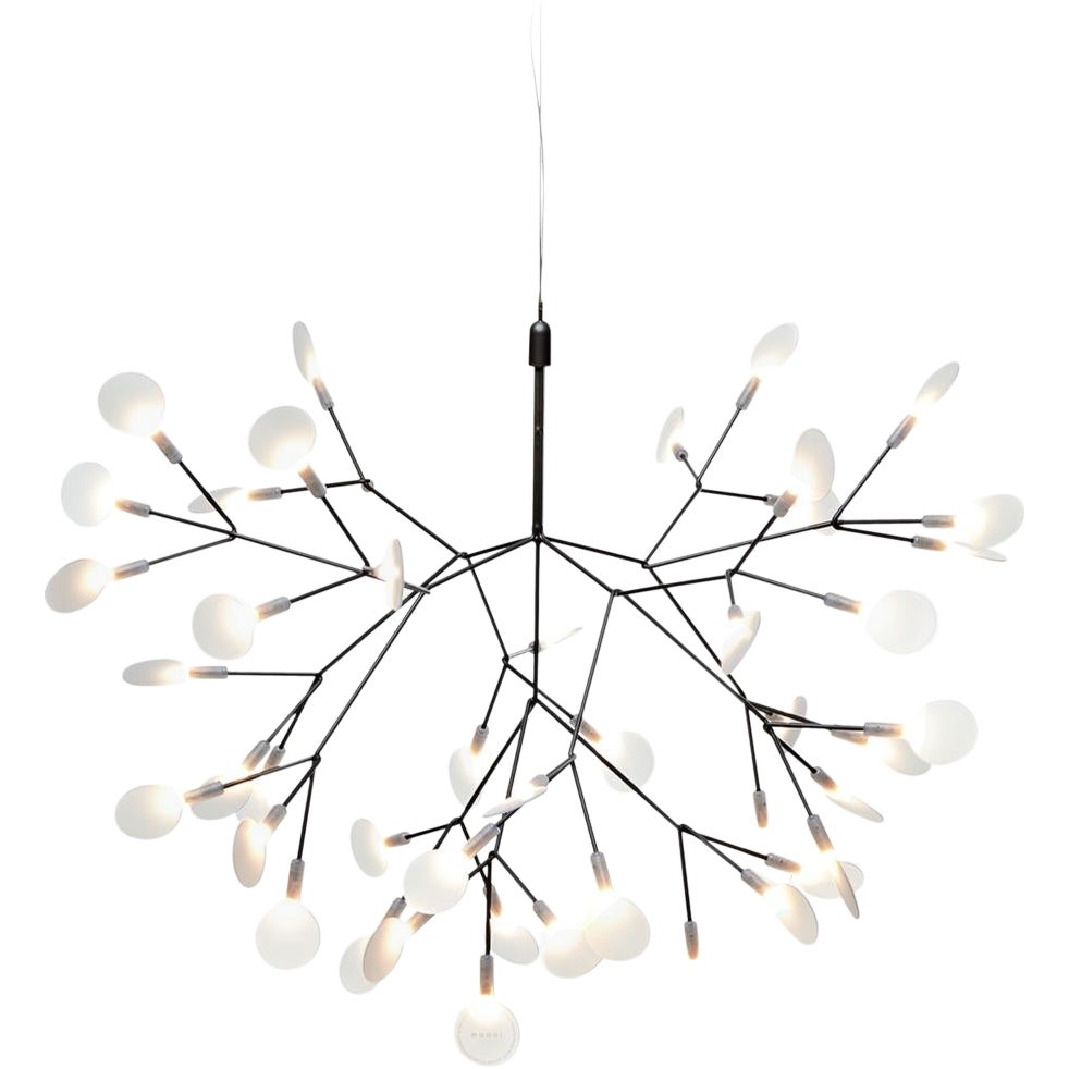 Moooi Heracleum II 72D Suspension Lamp in Nickel with Polycarbonate Lenses For Sale