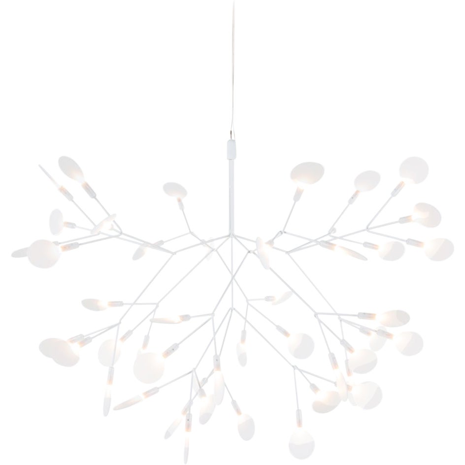 Moooi Heracleum II 72D Suspension Lamp in White with Polycarbonate Lenses, 10m
