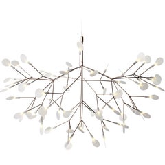 Moooi Heracleum II 98D Suspension Lamp in Copper with Polycarbonate Lenses