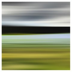 Bonnie Edelman "Blue Grass of Sweden" Photograph, Scapes Series, 2014