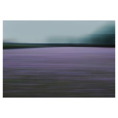 Bonnie Edelman "Lavender Field at Dusk, Germany" Photograph, Scapes Series, 2017