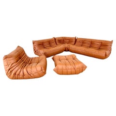 Cognac Leather Togo Set by Ligne Roset, 1980s France